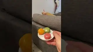 Daniel and macaroon/No time for macaroon/ Данила и макоруни 🥳🥳☺️