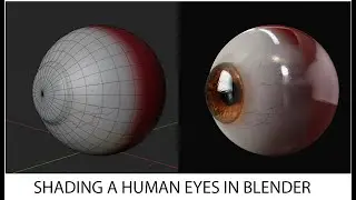 How to Shade a Human Eyes in Blender Cycles