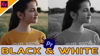 Make Your Video BLACK AND WHITE In Premiere Pro - 3 Different Ways