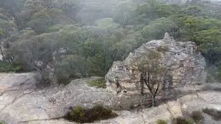 Dobbs Drift Lookout at the Gardens of Stone State conservation area drone flight