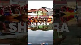 Dal Lake Explore with - Shikara Ride-Dal Lake Srinagar #shortsyoutube #travel