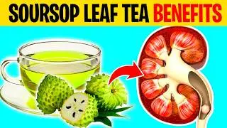 12 Powerful Health Benefits of Soursop Leaf Tea