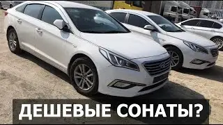 Sonata LF 2016 ПО НИЗУ РЫНКА! Что ожидать за 8500$ из Кореи?