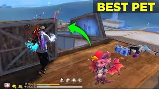 Top 4 Best Pet in Free Fire