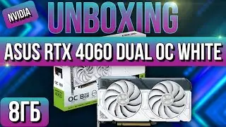 Распаковка и обзор ASUS GeForce RTX 4060 Dual White OC Edition!