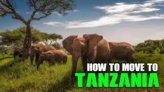 Tanzania, Visas and immigration