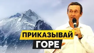 Дмитрий Лео. Приказывай горе