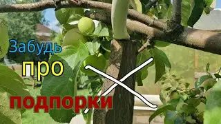 Как подвязать яблоню. Спасаем урожай!!!