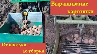 Выращивание картошки. От посадки до уборки (2019).