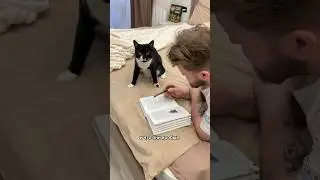 ПРОКАЧКА ШАТАЮЩЕГОСЯ КОТА 