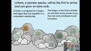 Primary vs Secondary Succesion (AP Bio Topic 8.5 Community Ecology Part 4)