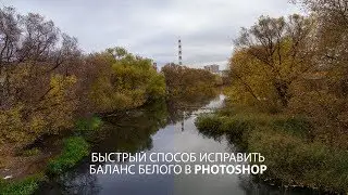 Экспериментальный способ найти точку серого на фото в Фотошопе и исправить баланс белого