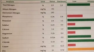 Leaf Analysis Jackfruit & Canistel