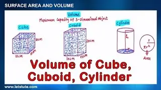 Volume of Cube Cuboid and Cylinder | Surface Area and Volume | Math | LetsTute