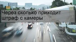 Через сколько приходит штраф с камеры