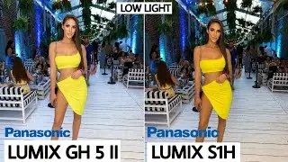 Panasonic Lumix GH5 II VS Panasonic Lumix S1H Low Light Camera Test