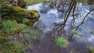 Simple Techniques for Great Images: Exploring Photography with Mark Wallace