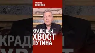 @NevzorovTV — российский экономический павлиний хвост