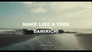 Make Like a Tree & Damirichi - Star Shower