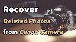 How to Recover Deleted Photos from Canon Camera