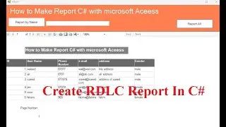 Create RDLC Report In C# with Microsoft Access