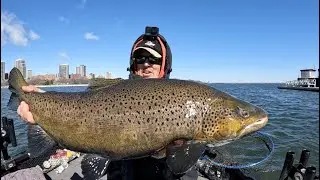 Ice Out Browns CASTING