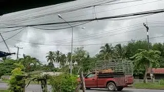 ตัดต้นไม้หน้าบ้าน