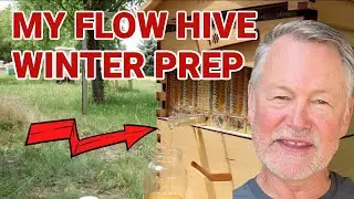 Beekeeping:  How To Prepare The Flow Hive For Winter