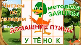 Учимся читать по слогам и складам 