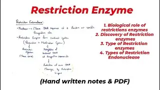 Restriction enzymes | Restriction endonucleases | CSIR net life science| Restriction enzymes class12