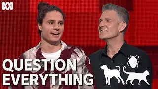 The funniest animal theory you'll ever hear | Question Everything | ABC TV + iview