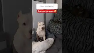 Хейтеры пишите больше негатива 😂👍 