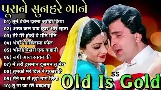 70's80's90's Sadabahar Geet 🌹 Purane Hindi Songs 🌹 #अल्का_याग्निक #mohammedrafi #latamangeshkar