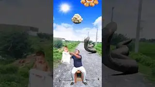 Flying crying babies Catching vs monsterhen & grasshopper vs puppy - Funny vfxmagic