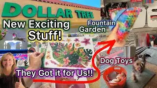 DOLLAR TREE New Finds! HUMMINGBIRD Fountain Straws * DOG Toys Test * Plant Basket Container Garden