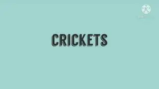 Crickets sound effect free to use | VSR