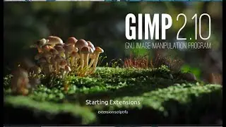 How to Install GIMP 2.10.38 on Linux Mint 21.3 via Flatpak | Photoshop Alternative