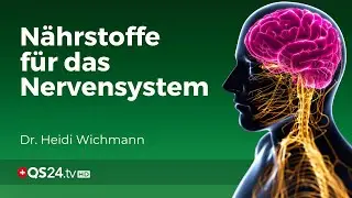 Neurotransmitter: Was Sie über Melatonin, Serotonin und Dopamin wissen müssen  | QS24