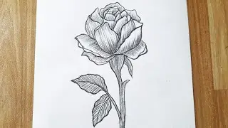 How to draw a rose easy step by step || Flower drawing tutorial