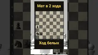 Задача 39 Telegram: Albinachess #chess #шахматы #chorts