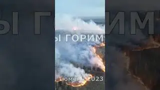 🔥Мы горим🔥Тюмень 2023