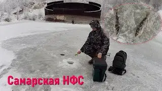 Рыбалка в Самаре. Бухта Спасателей и ее обитатели (Самарская НФС)