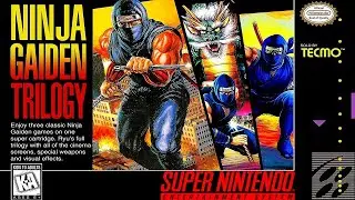 Ninja Gaiden 2 The Dark Sword of Chaos  NO DAMAGE (SNES, Super Nintendo)