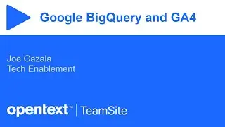 How to use audiences imported from Google BigQuery™