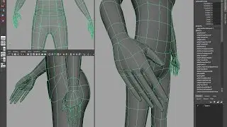 Maya Character modeling tutorial, part 2 - Hands and Feet