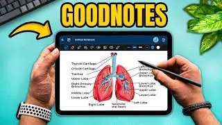 GoodNotes 6: The Ultimate Note-Taking App 2025? 🤔📝