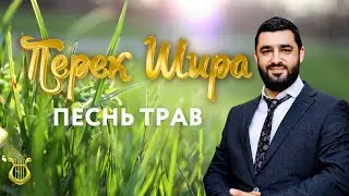 🌿 Перек Шира: Песнь трав (Рав Исраэль Якобов) Цикл: Песнь Творения. #31