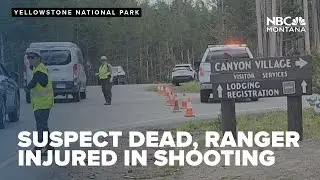 Suspect dead, park ranger injured in shooting at Yellowstone National Park