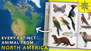 Mapping Every Extinct Animal From North America