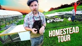 12-Acres Abundance | Permaculture Homestead Tour (2023)